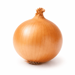 양파